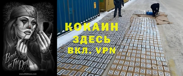 прущие грибы Богданович