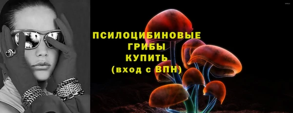 ECSTASY Армянск
