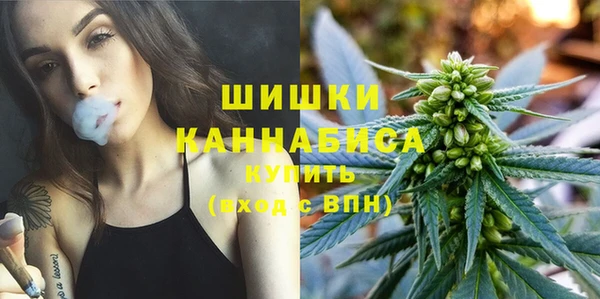 apvp Аркадак