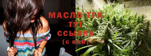прущие грибы Богданович