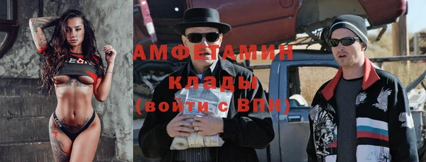 шишки Богородицк