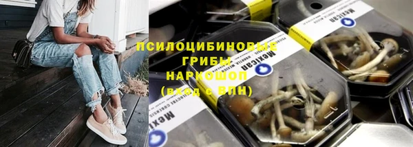шишки Богородицк