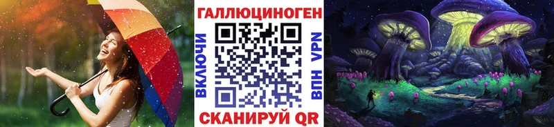 как найти   Великие Луки  Галлюциногенные грибы Psilocybe 